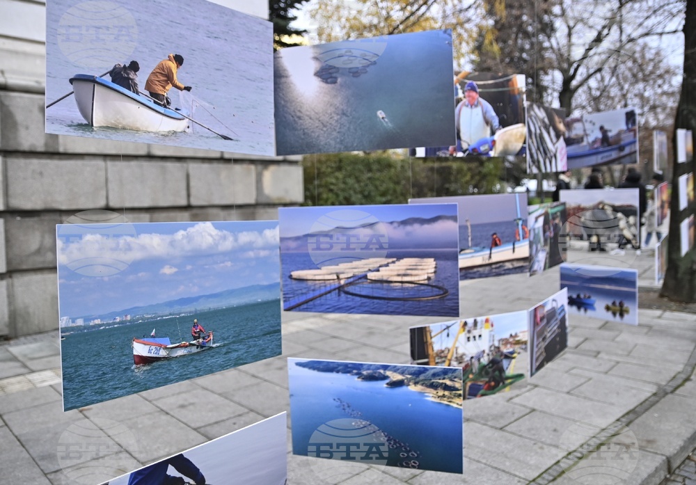 Национален рибен фест