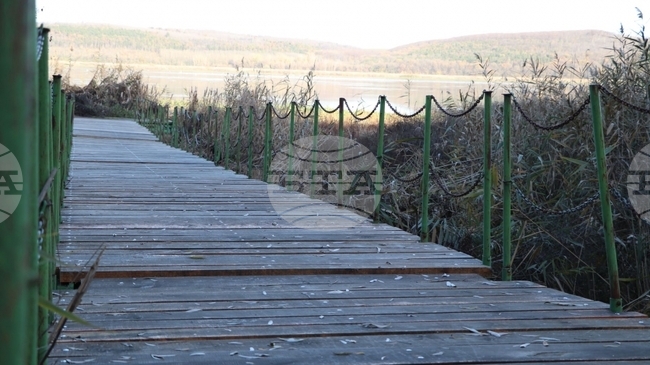 Служителите в Поддържан резерват „Сребърна“ ремонтираха понтонния мост на пристана на езерото