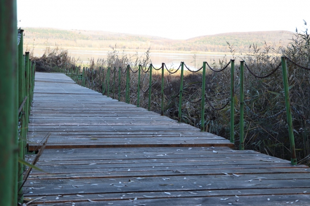 Служителите в Поддържан резерват „Сребърна“ ремонтираха понтонния мост на пристана на езерото