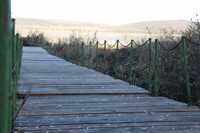 Служителите в Поддържан резерват „Сребърна“ ремонтираха понтонния мост на пристана на езерото