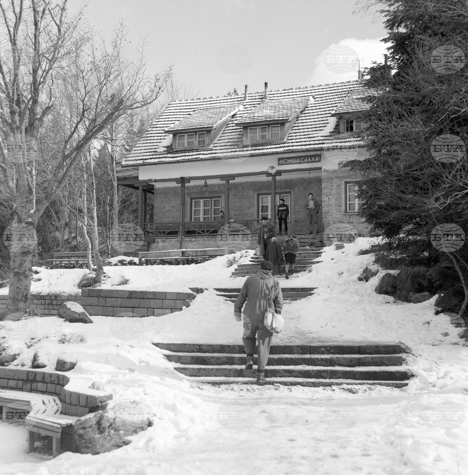 Из парка „Витоша“ пак е оживено