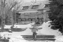 Из парка „Витоша“ пак е оживено