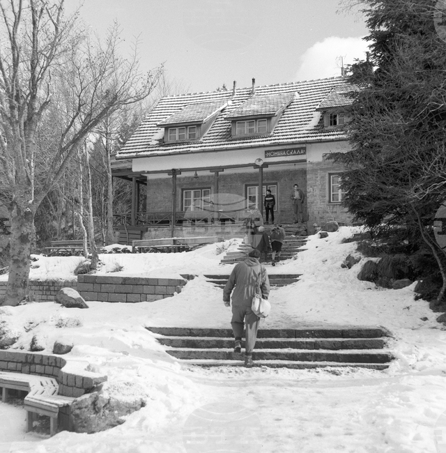 Из парка „Витоша“ пак е оживено