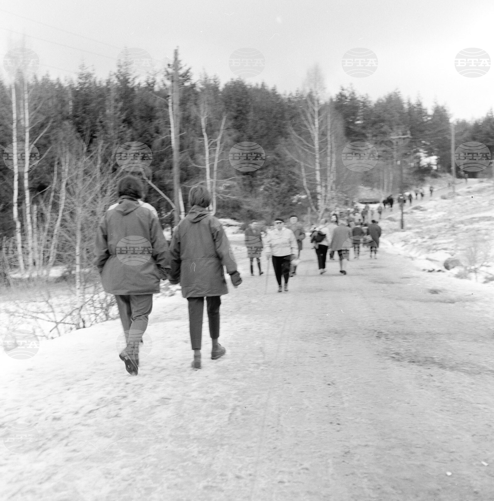 Из парка „Витоша“ пак е оживено