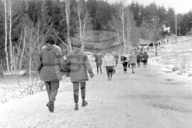 Из парка „Витоша“ пак е оживено