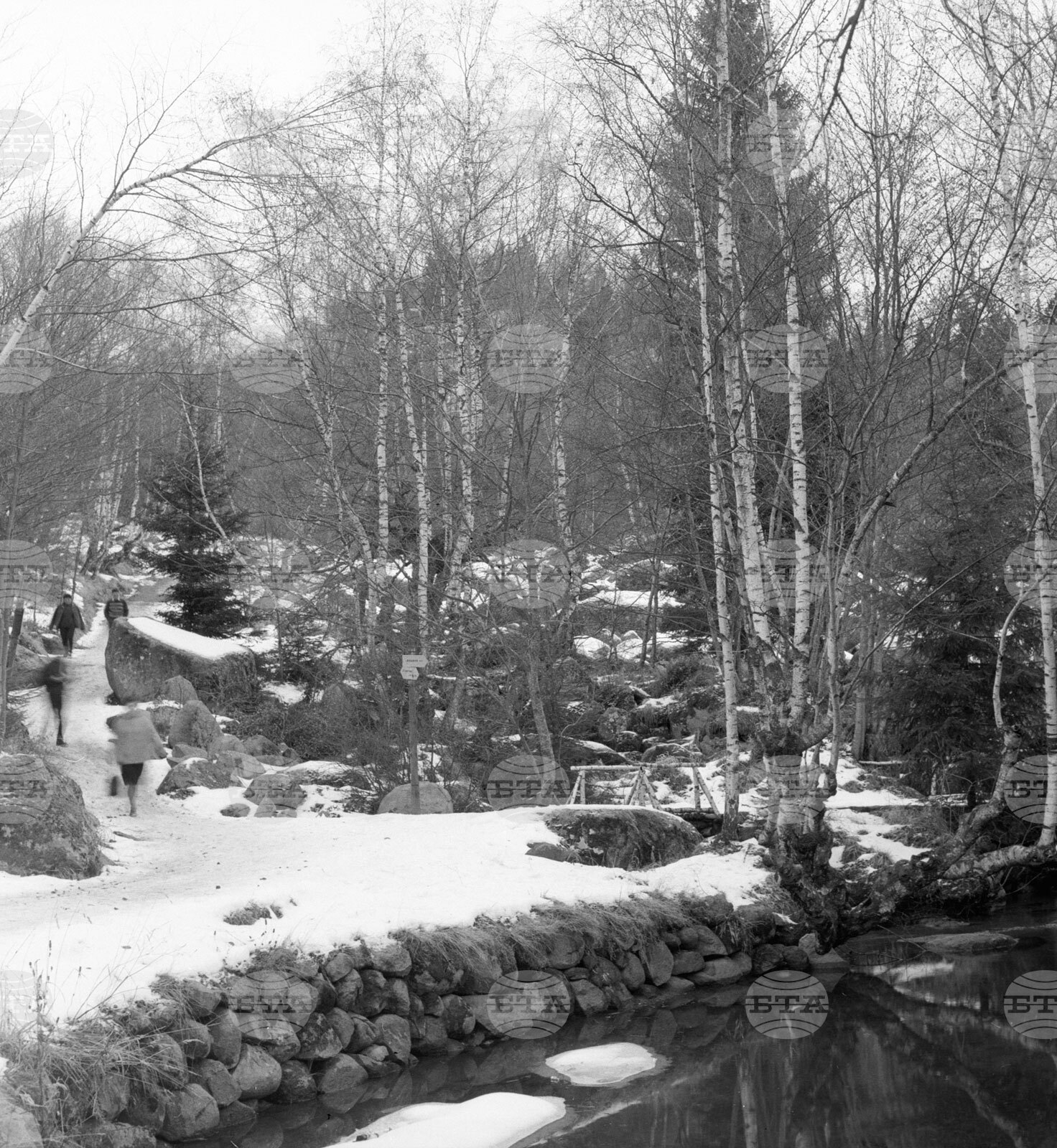 Из парка „Витоша“ пак е оживено