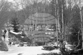 Из парка „Витоша“ пак е оживено