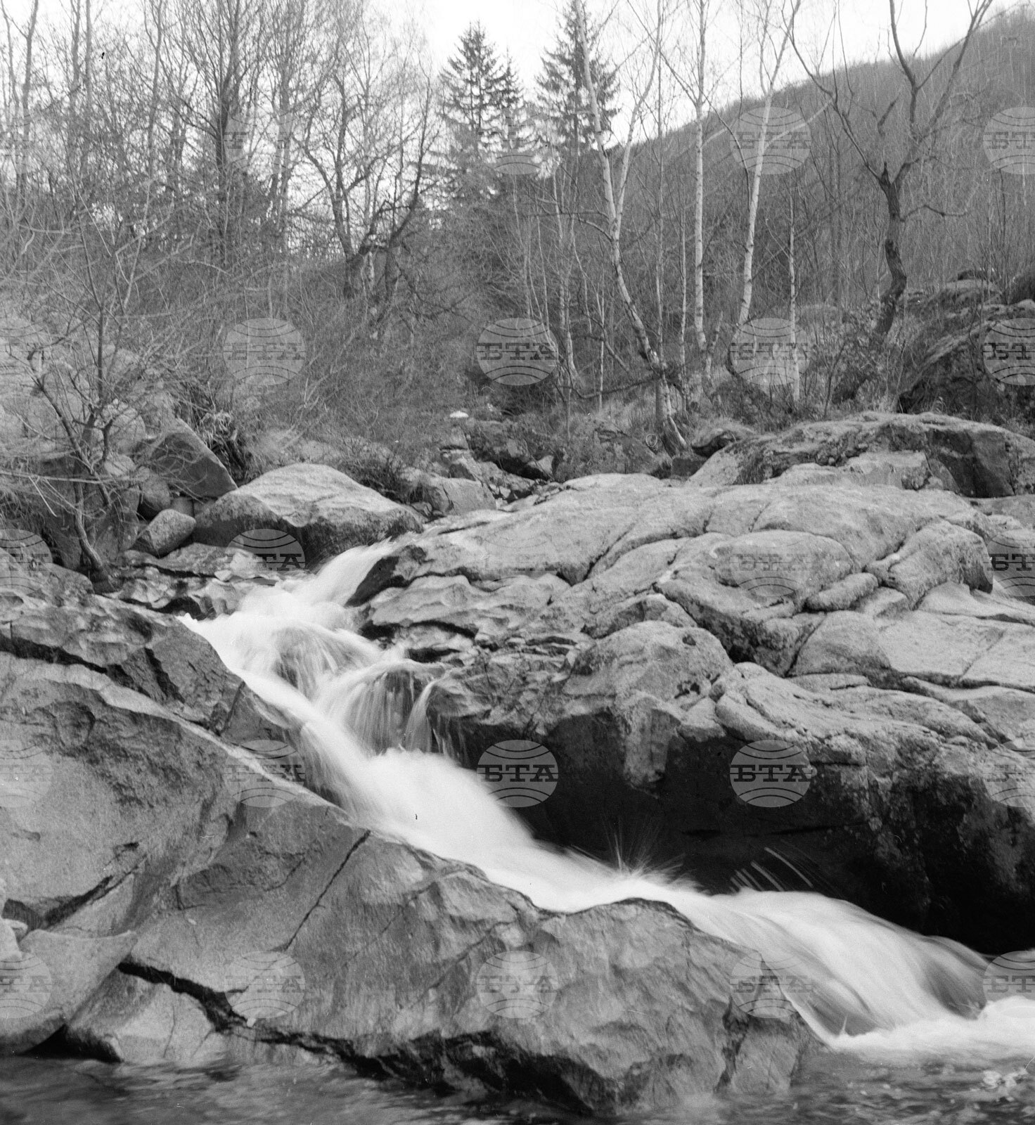 Из парка „Витоша“ пак е оживено