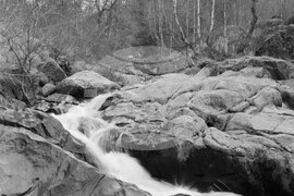 Из парка „Витоша“ пак е оживено