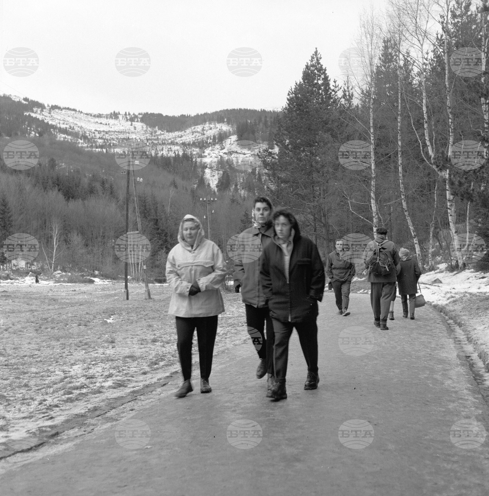 Из парка „Витоша“ пак е оживено