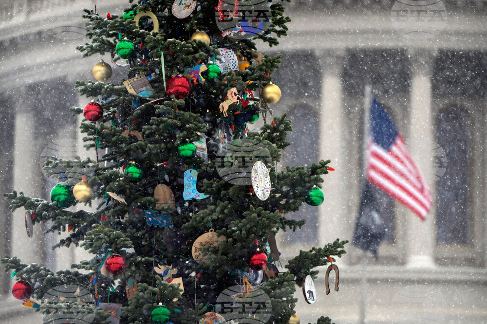 Winter Weather Washington