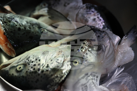 Благоевград - храм „Свети Николай“ - празник - подготовка