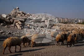 Syria Assad Fall Anniversary