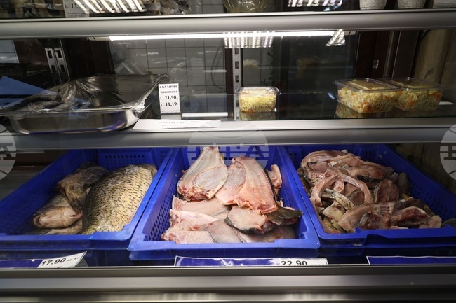  До 18 лева на килограм стигат цените на шарана в Пловдив навръх Никулден