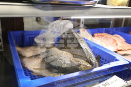 Пловдив - магазини - риба за Никулден