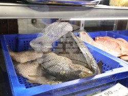 Пловдив - магазини - риба за Никулден