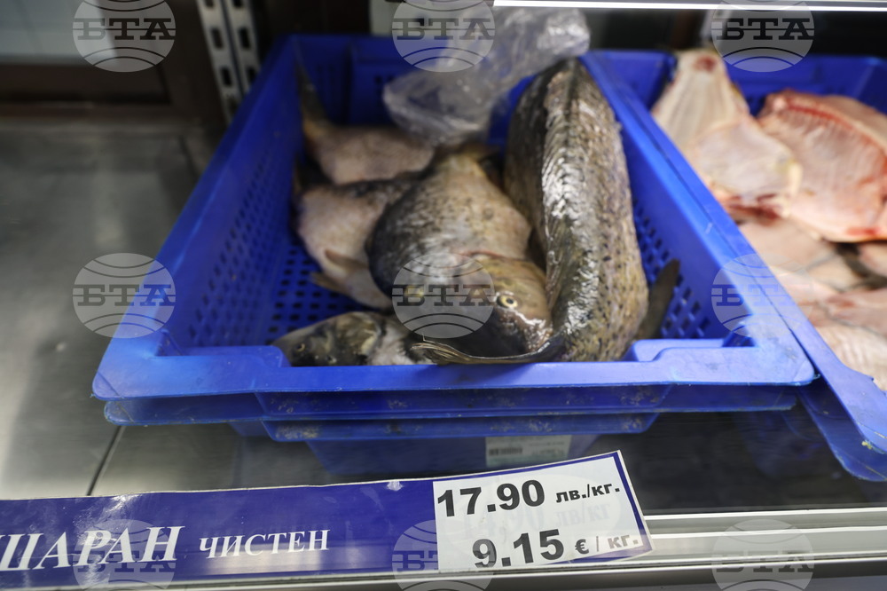 Пловдив - магазини - риба за Никулден