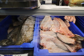 Пловдив - магазини - риба за Никулден