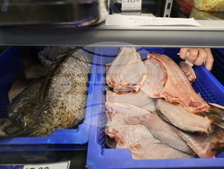 Пловдив - магазини - риба за Никулден