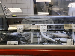 Пловдив - магазини - риба за Никулден