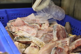 Пловдив - магазини - риба за Никулден