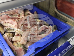 Пловдив - магазини - риба за Никулден