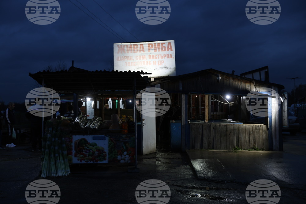 Пловдив - магазини - риба за Никулден