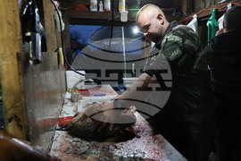 Пловдив - магазини - риба за Никулден