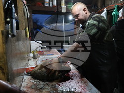 Пловдив - магазини - риба за Никулден