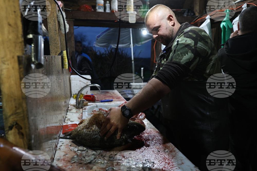 Пловдив - магазини - риба за Никулден