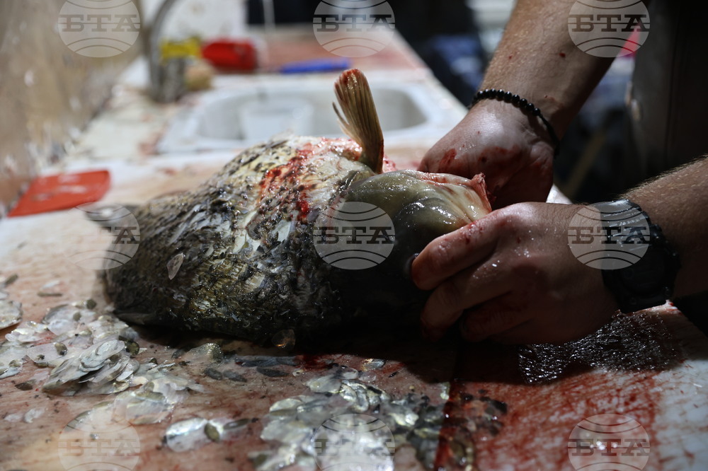 Пловдив - магазини - риба за Никулден