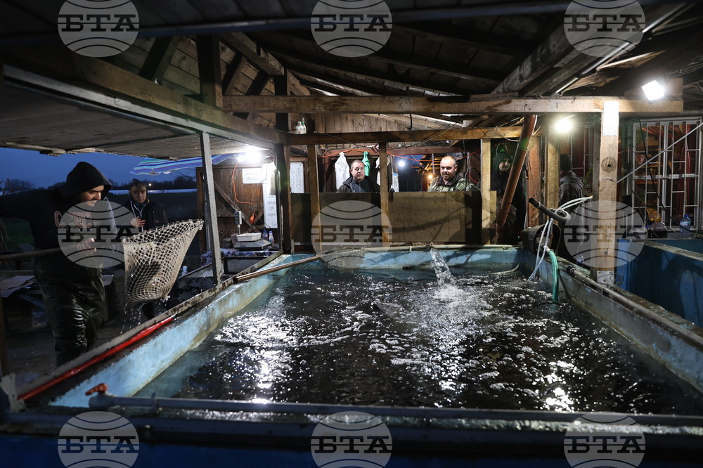 Пловдив - магазини - риба за Никулден