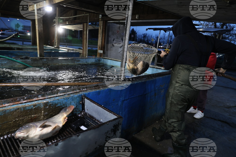 Пловдив - магазини - риба за Никулден