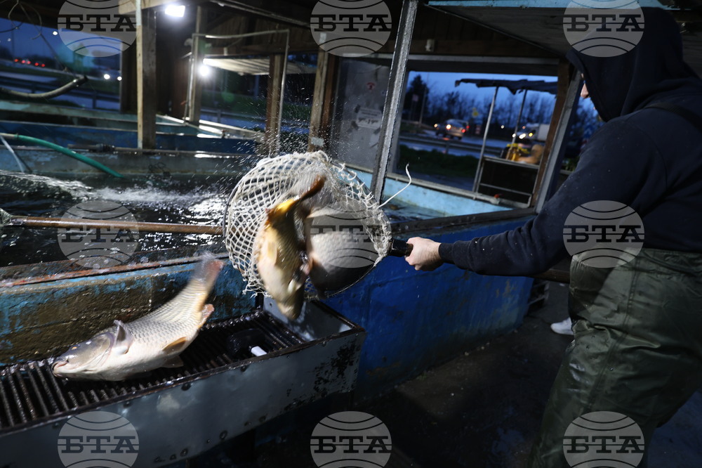 Пловдив - магазини - риба за Никулден