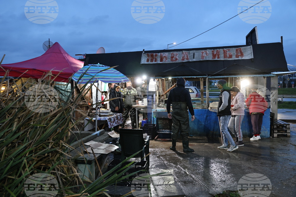 Пловдив - магазини - риба за Никулден