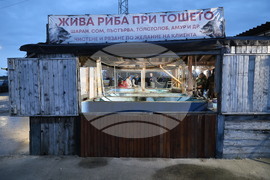 Пловдив - магазини - риба за Никулден