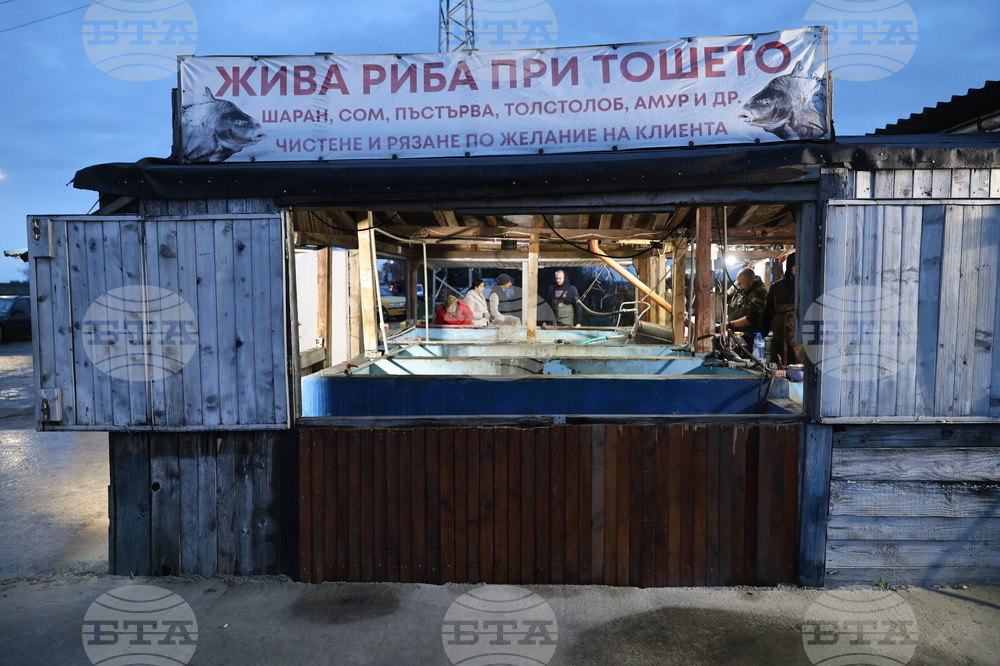 Пловдив - магазини - риба за Никулден