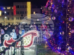 Търговище - коледна елха - светлини