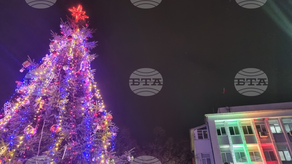 Търговище - коледна елха - светлини