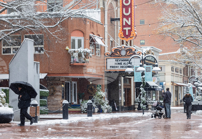 Extreme Wintry Weather