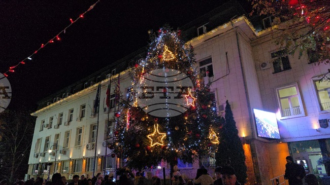 Естествена коледна елха грейна в Ловеч 
