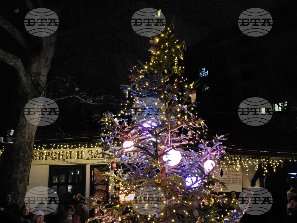 Добрич - коледна украса