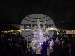 Добрич - коледна украса