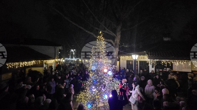 Играчки, направени от занаятчии, красят елхата в Етнографския комплекс в Добрич