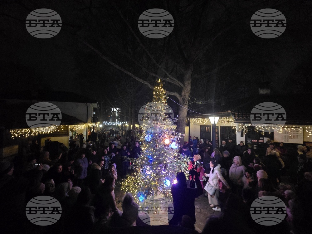 Играчки, направени от занаятчии, красят елхата в Етнографския комплекс в Добрич