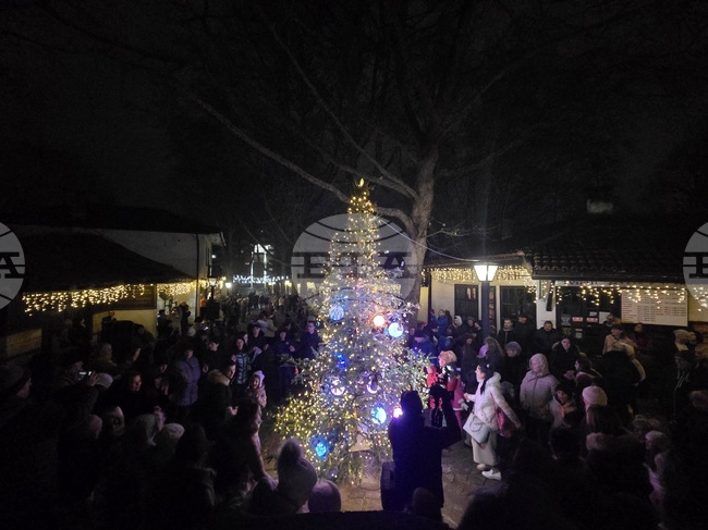 Играчки, направени от занаятчии, красят елхата в Етнографския комплекс в Добрич