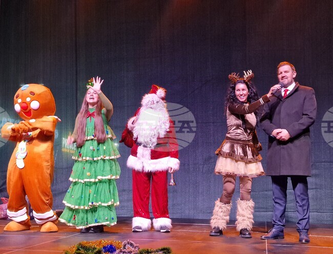  Хасково - Коледна елха - празнична украс