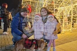 Хасково - Коледна елха - празнична украса