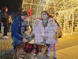 Хасково - Коледна елха - празнична украса