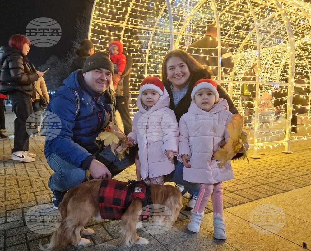 Хасково - Коледна елха - празнична украса